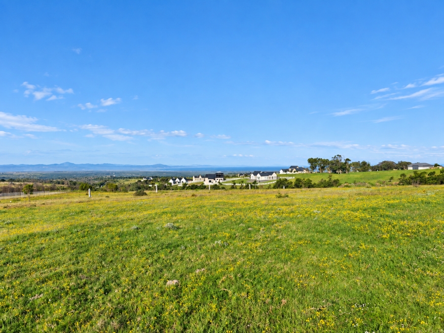 0 Bedroom Property for Sale in Kabeljauws Eastern Cape